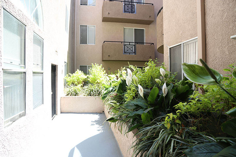 courtyard
